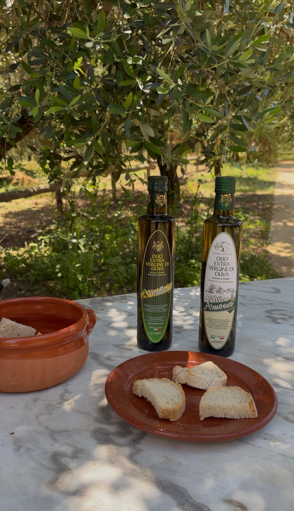 Esclusiva Degustazione di Olio d’Oliva Calabrese con Aperitivo