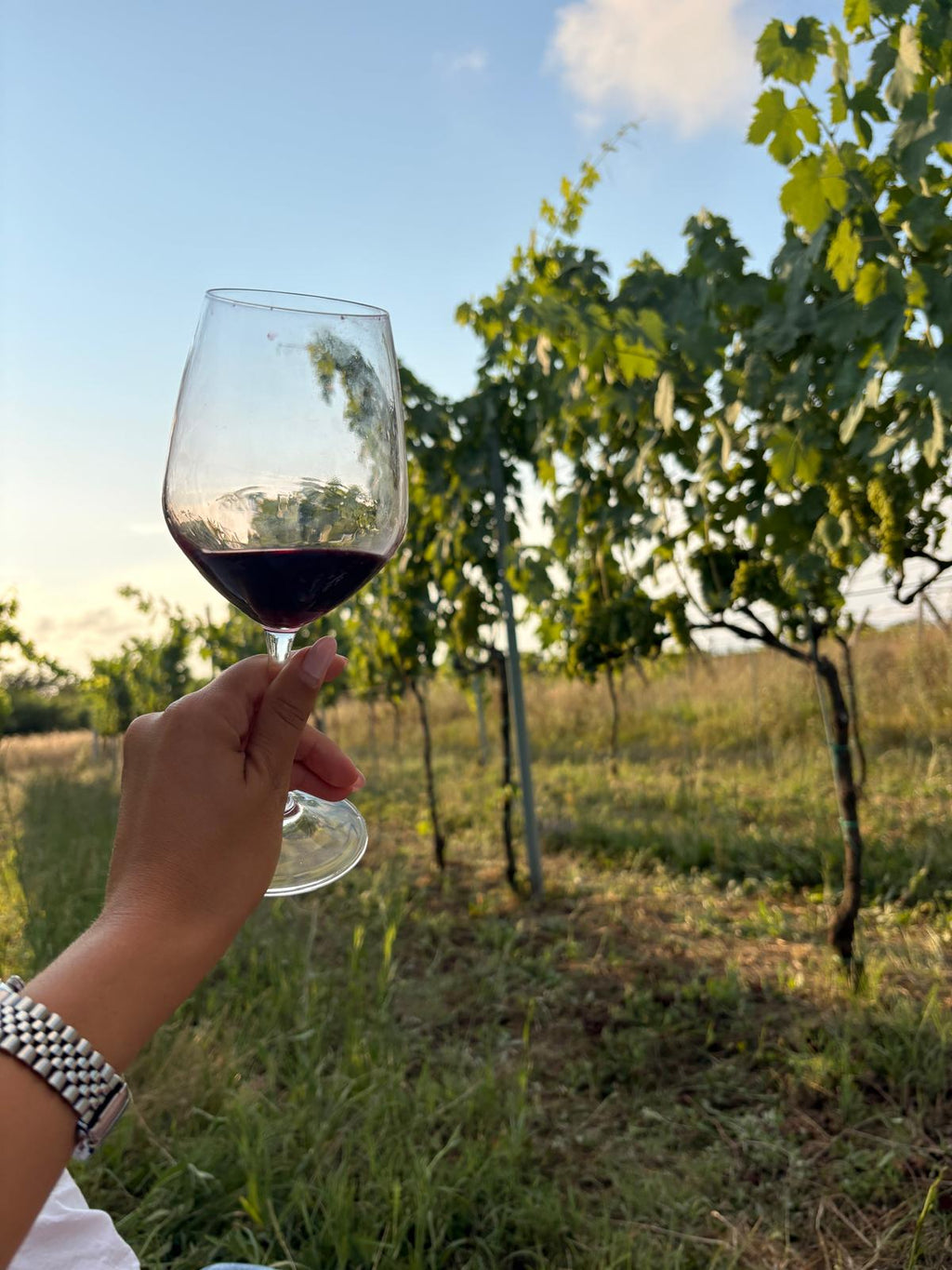 Picnic al tramonto in Vigna