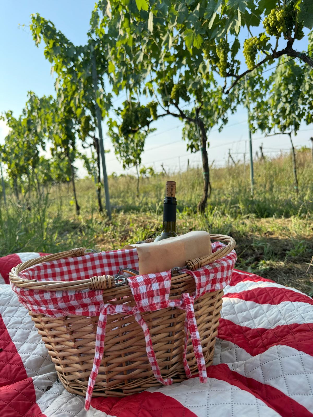 Picnic al tramonto in Vigna